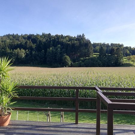 Ferienhaus Am Bach Kirchberg an der Raab エクステリア 写真