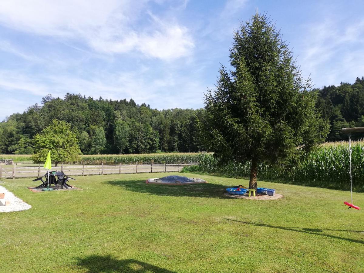 Ferienhaus Am Bach Kirchberg an der Raab エクステリア 写真